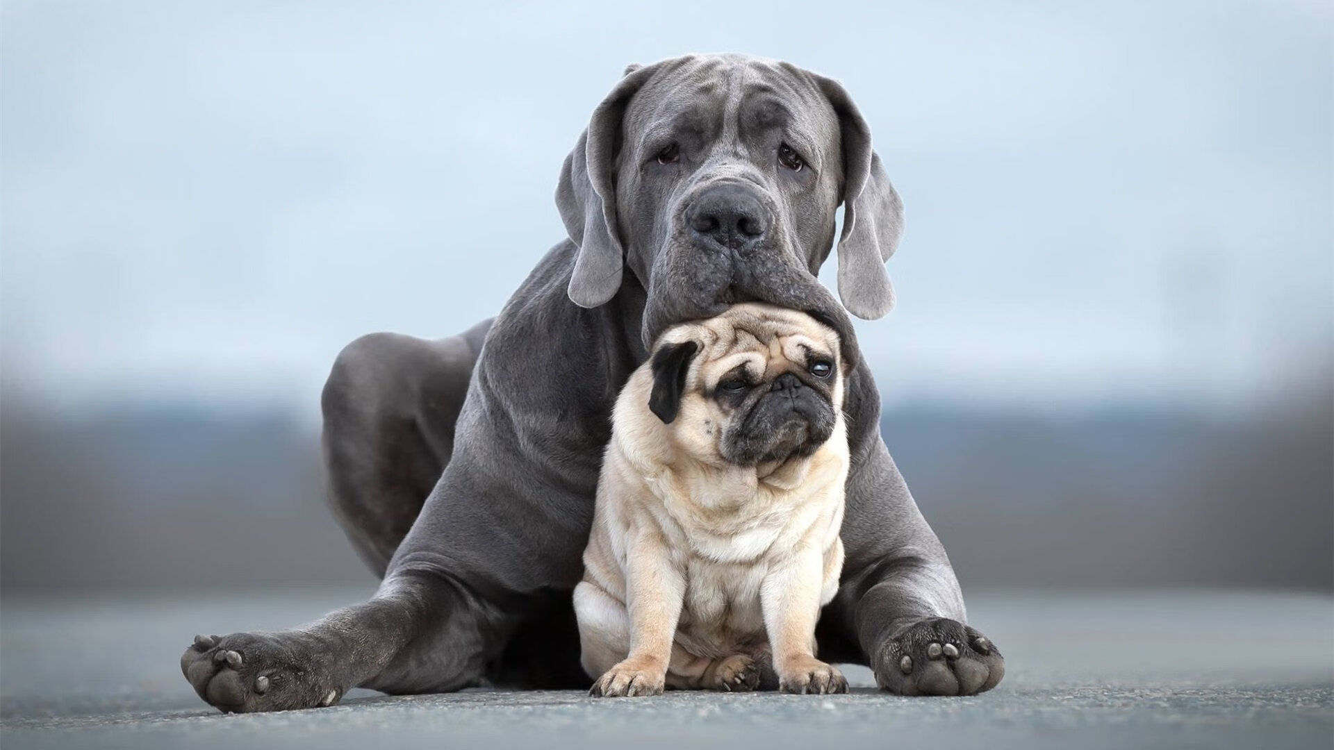 中超球队控场失误分布图解，中超控球最好的球队