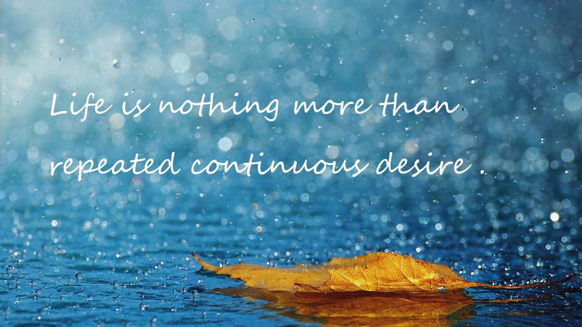 本菲卡队长展现领袖气质稳定军心,本菲卡强吗