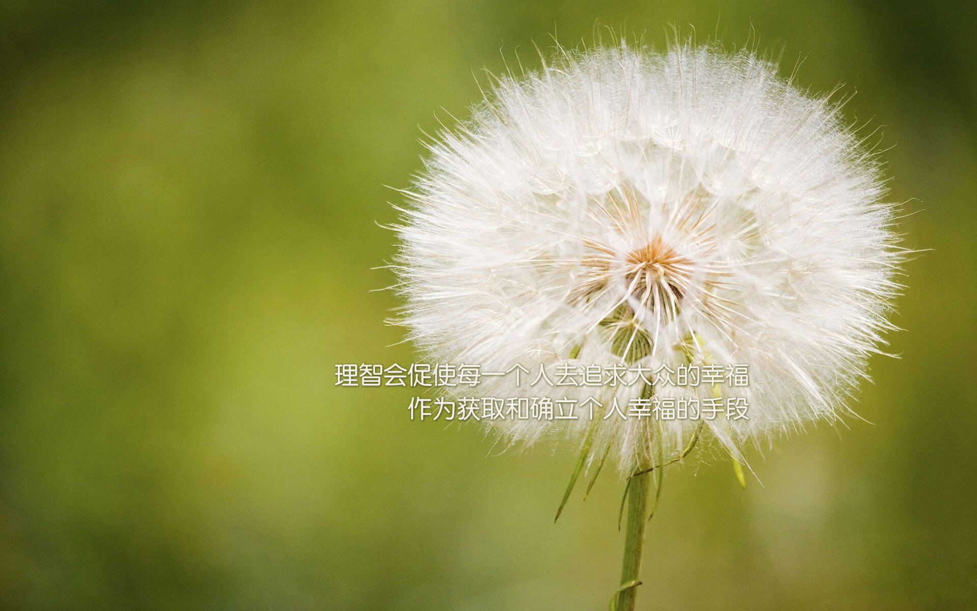 足球规则普及教育在基层缺席，足球规则理论课