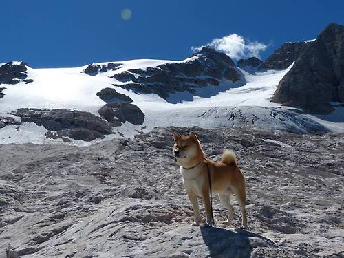 开云体育在线入口-中国足球俱乐部强化青年球员竞技状态管理，足球青训人才