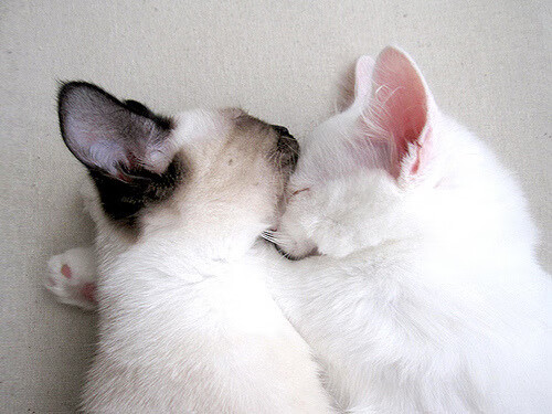 kaiyun开云体育-冬训营引入专项体能训练 提升耐力与爆发力，冬训体能训练心得体会