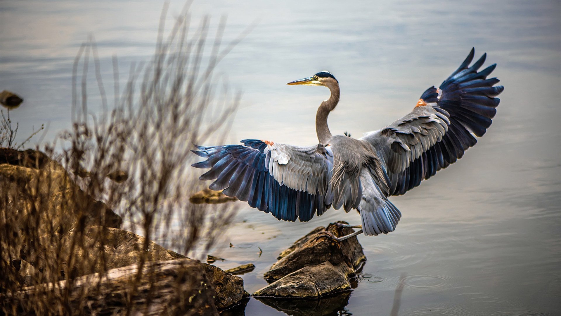 召回事件频发，便携电源行业面临信任危机？，便携式电源的英文